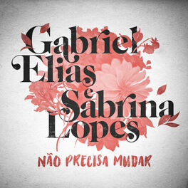 Album cover of Não Precisa Mudar