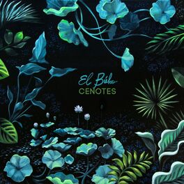 Album cover of Cenotes (Deluxe Edition)