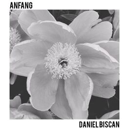 Album cover of Anfang