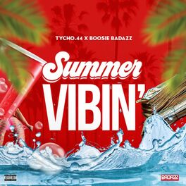 Album cover of Summer Vibin