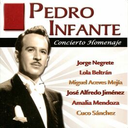 Album cover of Pedro Infante: Concierto Homenaje