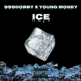 Album cover of ICE