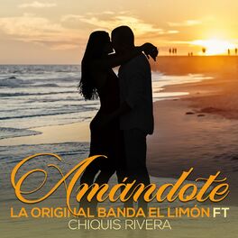 Album cover of Amandote