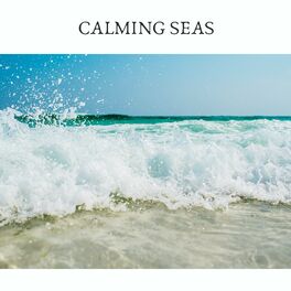 Album cover of Calming Seas