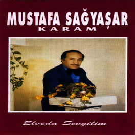 Album cover of Elveda Sevgilim