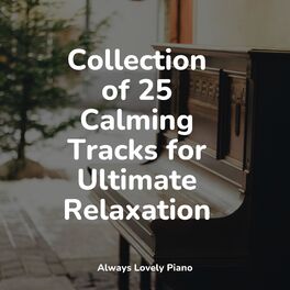 Album cover of Collection of 25 Calming Tracks for Ultimate Relaxation