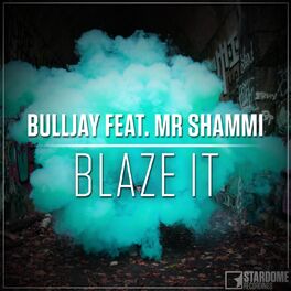 Album cover of Blaze It