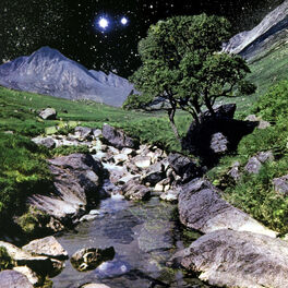 Album cover of The Beta Band