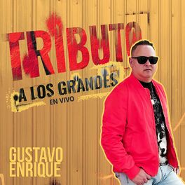 Album cover of Tributo a los Grandes en Vivo