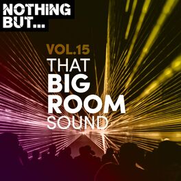 Album cover of Nothing But... That Big Room Sound, Vol. 15