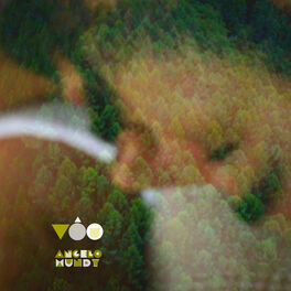Album cover of Vôo