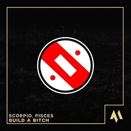 Album cover of Build A Bitch