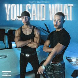 Album cover of YOU SAID WHAT (feat. Zouenvitesse)
