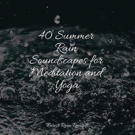 Album cover of 40 Summer Rain Soundscapes for Meditation and Yoga