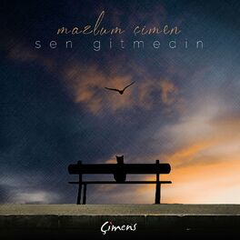 Album cover of Sen Gitmedin