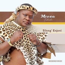 Album cover of Sileng'enjeni