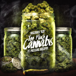 Album cover of Too Much Cannabis