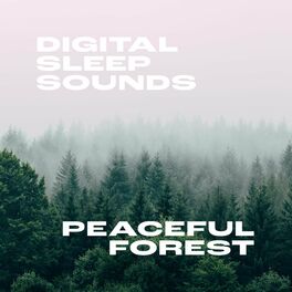 Album cover of Peaceful Forest