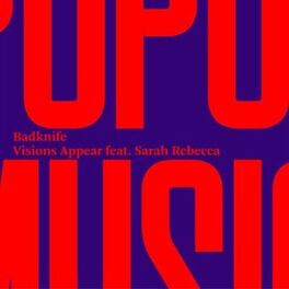 Album cover of Visions Appear