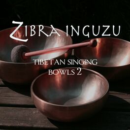 Album cover of Tibetan Singing Bowls II