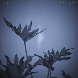 Album cover of Okra