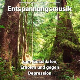 Album cover of Entspannungsmusik zum Einschlafen, Erholen und gegen Depression