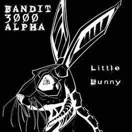 Album cover of Little Bunny