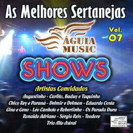 Album cover of As Melhores Sertanejas Águia Music, Vol. 7