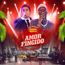 Album cover of Amor Fingido