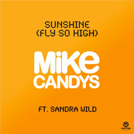 Album cover of Sunshine (Fly So High)