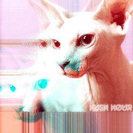 Album cover of Hush Hour