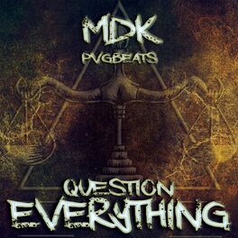 Album cover of Question Everything