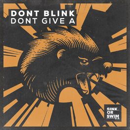 Album cover of DONT GIVE A
