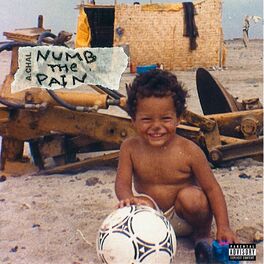 Album cover of Numb The Pain