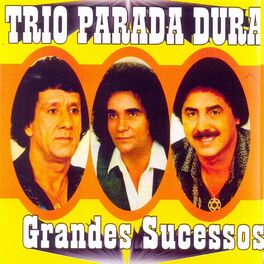 Album cover of Grandes Sucessos