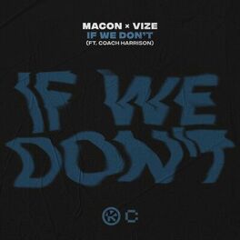 Album cover of If We Don't