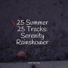 Album cover of 25 Summer 25 Tracks: Serenity Rainshower