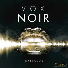 Album cover of Vox Noir