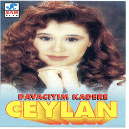 Album cover of Davacıyım Kadere
