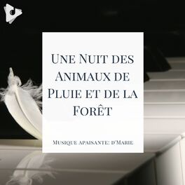 Album cover of Une Nuit des Animaux de Pluie et de la Forêt
