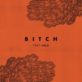 Album cover of Bitch (feat. Vald)