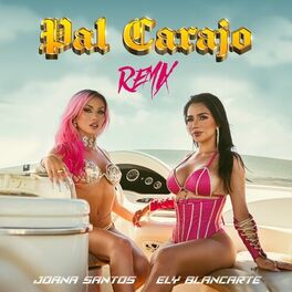 Album cover of Pal Carajo (Remix)