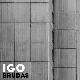 Album cover of Brudas