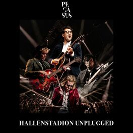 Album cover of Hallenstadion Unplugged (Live)