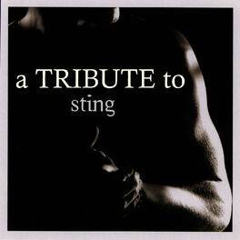 Album cover of A Tribute To Sting