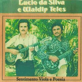 Album cover of Sentimento Viola e Poesia