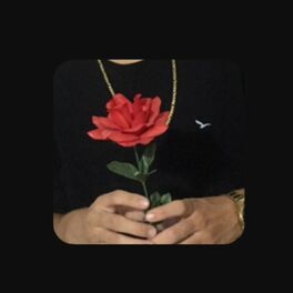 Album cover of Darwin rosa