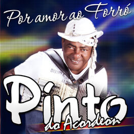 Album cover of Por Amor ao Forró
