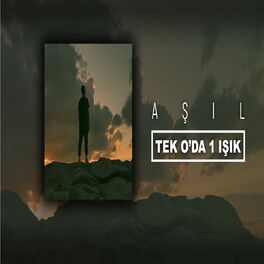 Album cover of Tek O'Da 1 Işık