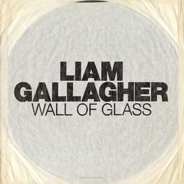 Album cover of Wall of Glass